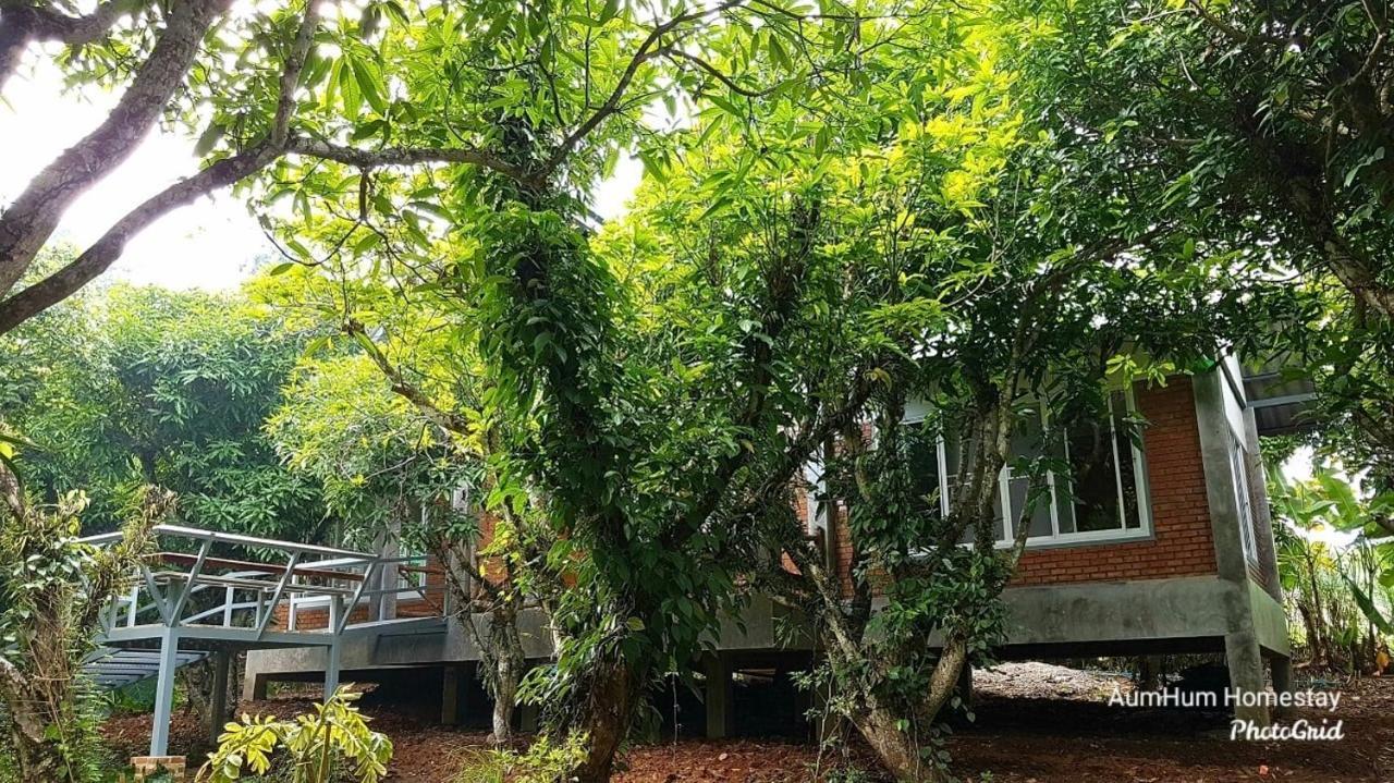 Aum Hum Homestay Fang Exterior photo
