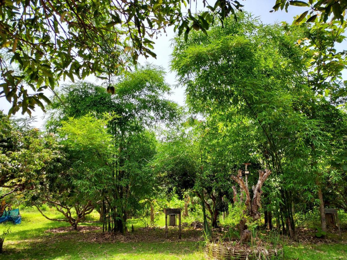 Aum Hum Homestay Fang Exterior photo